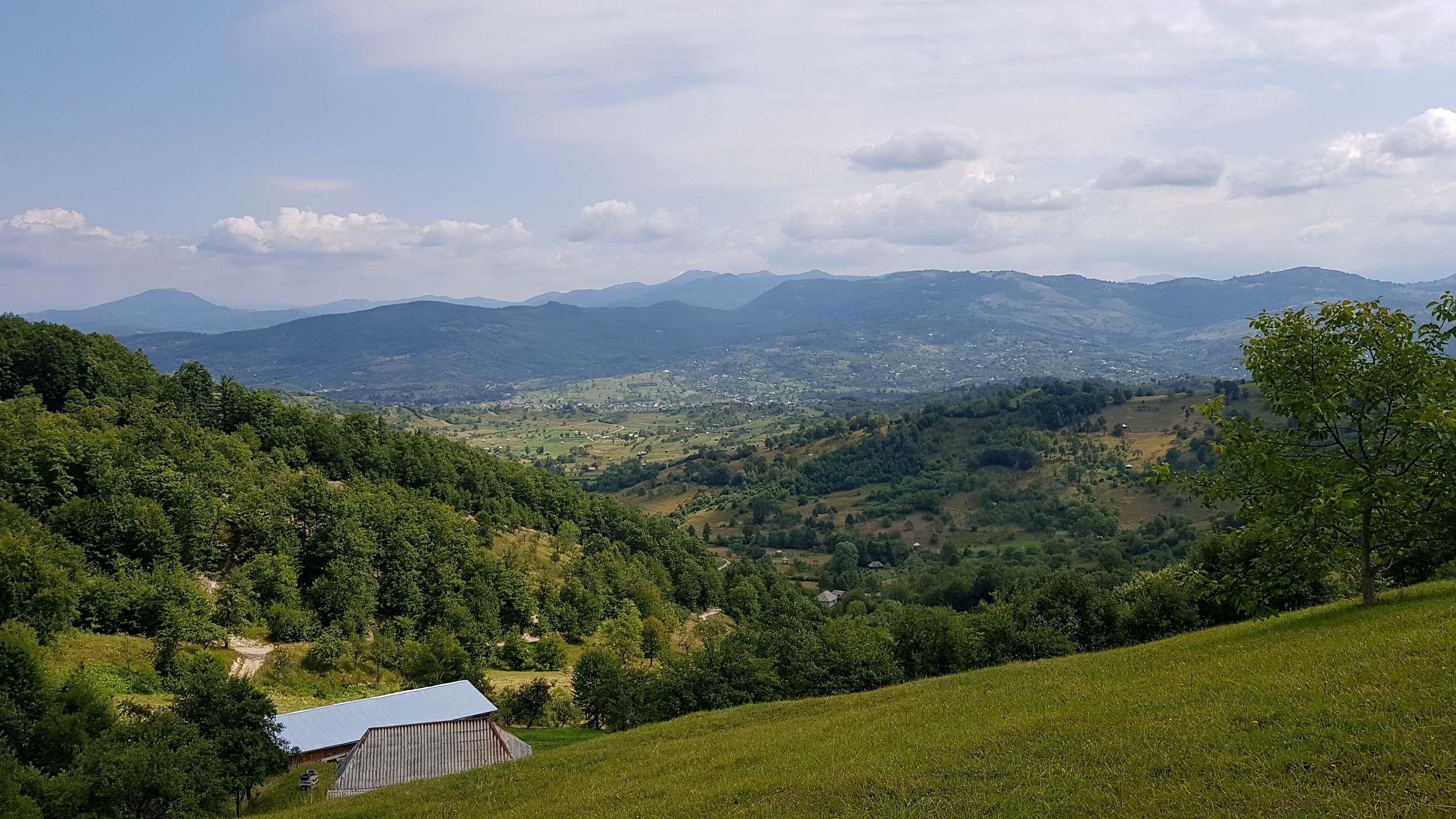 Munții Maramureșului / www.transcarpathian.org