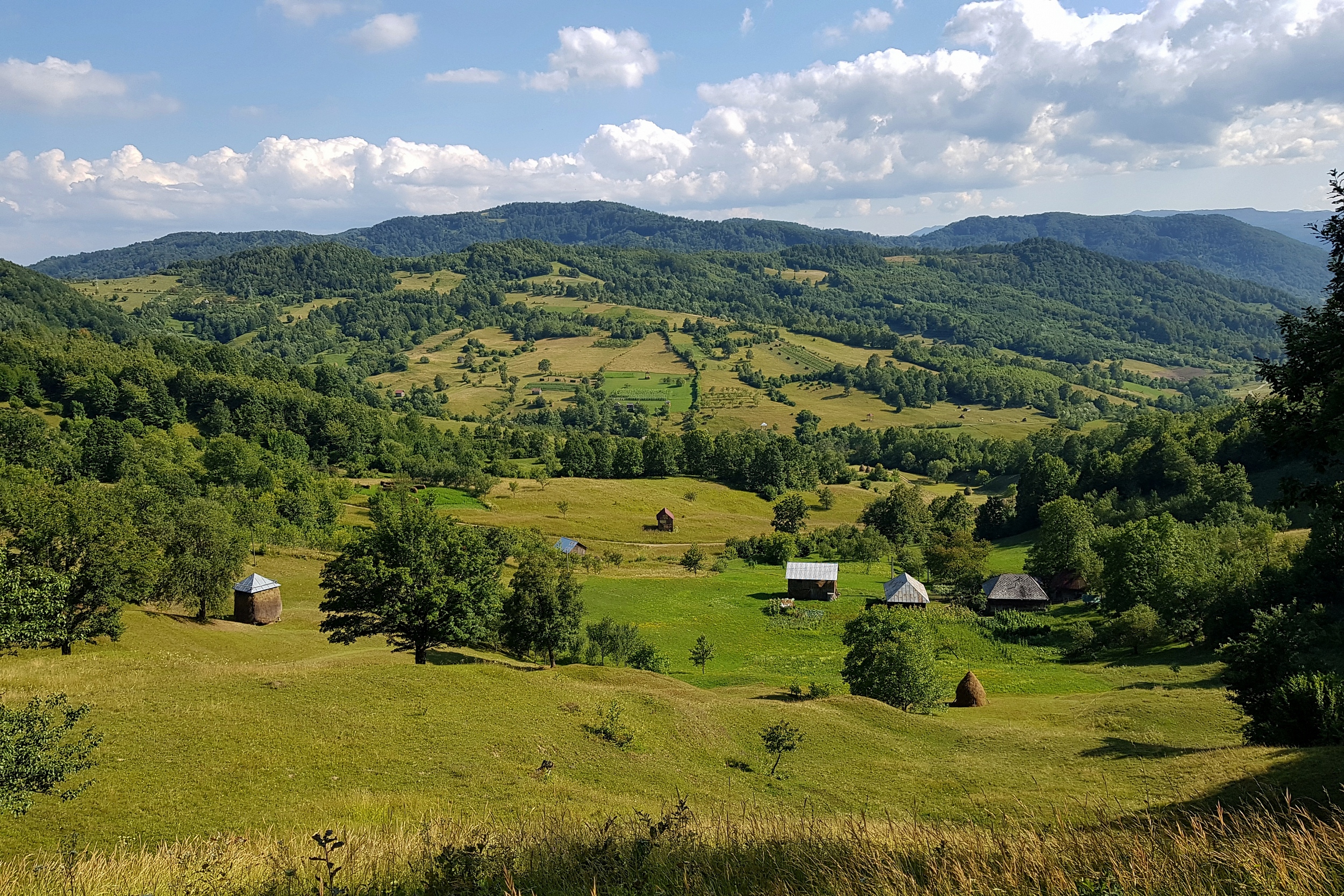 Munții Maramureșului / www.transcarpathian.org