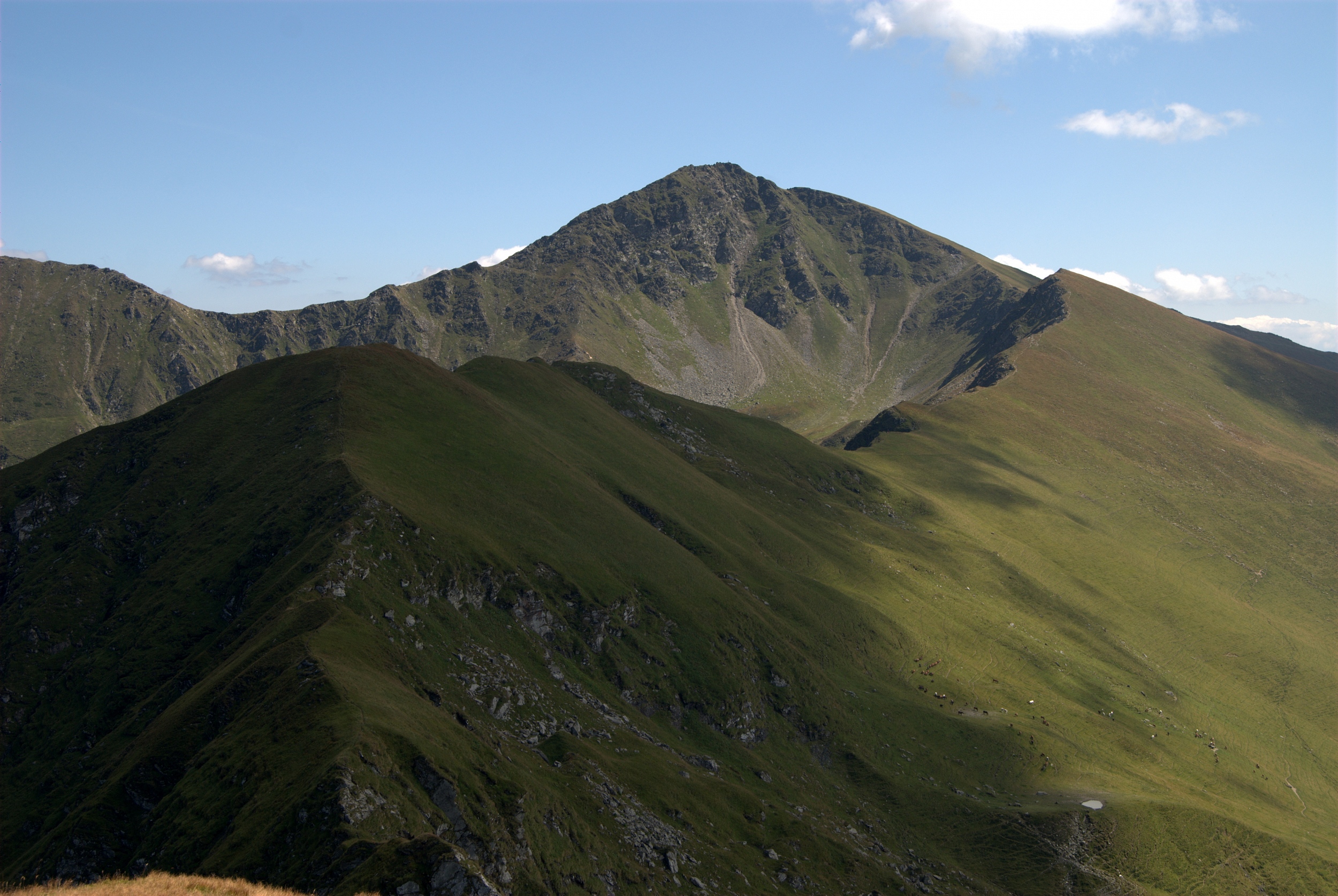 Munții Rodnei / Vf. Ineut
