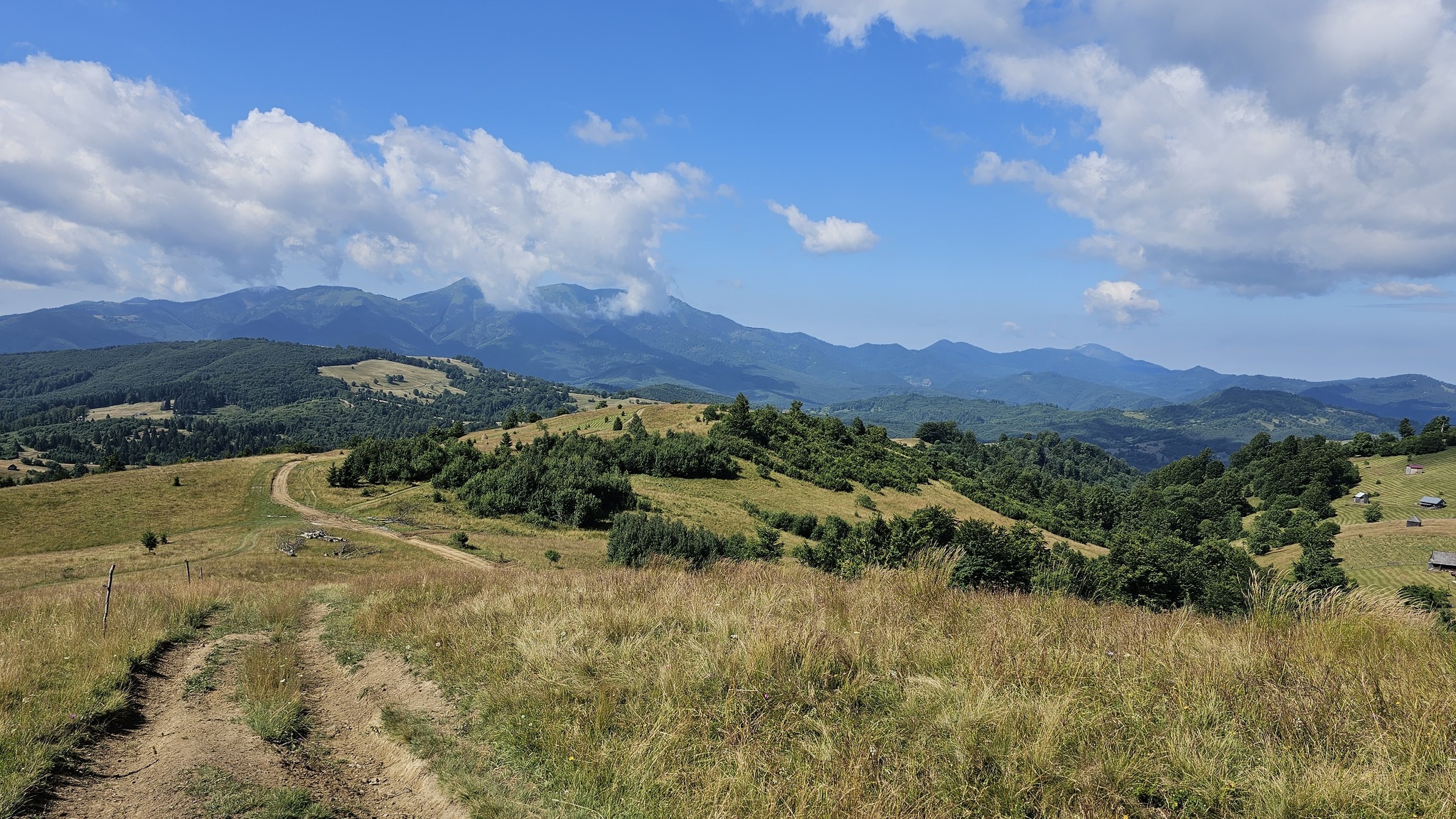 Severní podhůří Țibleșe vypadá malebně nejenom na fotografiích, nekosené louky jsou však koncem července hůře průchozí. Munții Țibleș / Severní podhůří Țibleșe vypadá malebně nejenom na fotografiích, nekosené louky jsou však koncem července hůře průchozí.