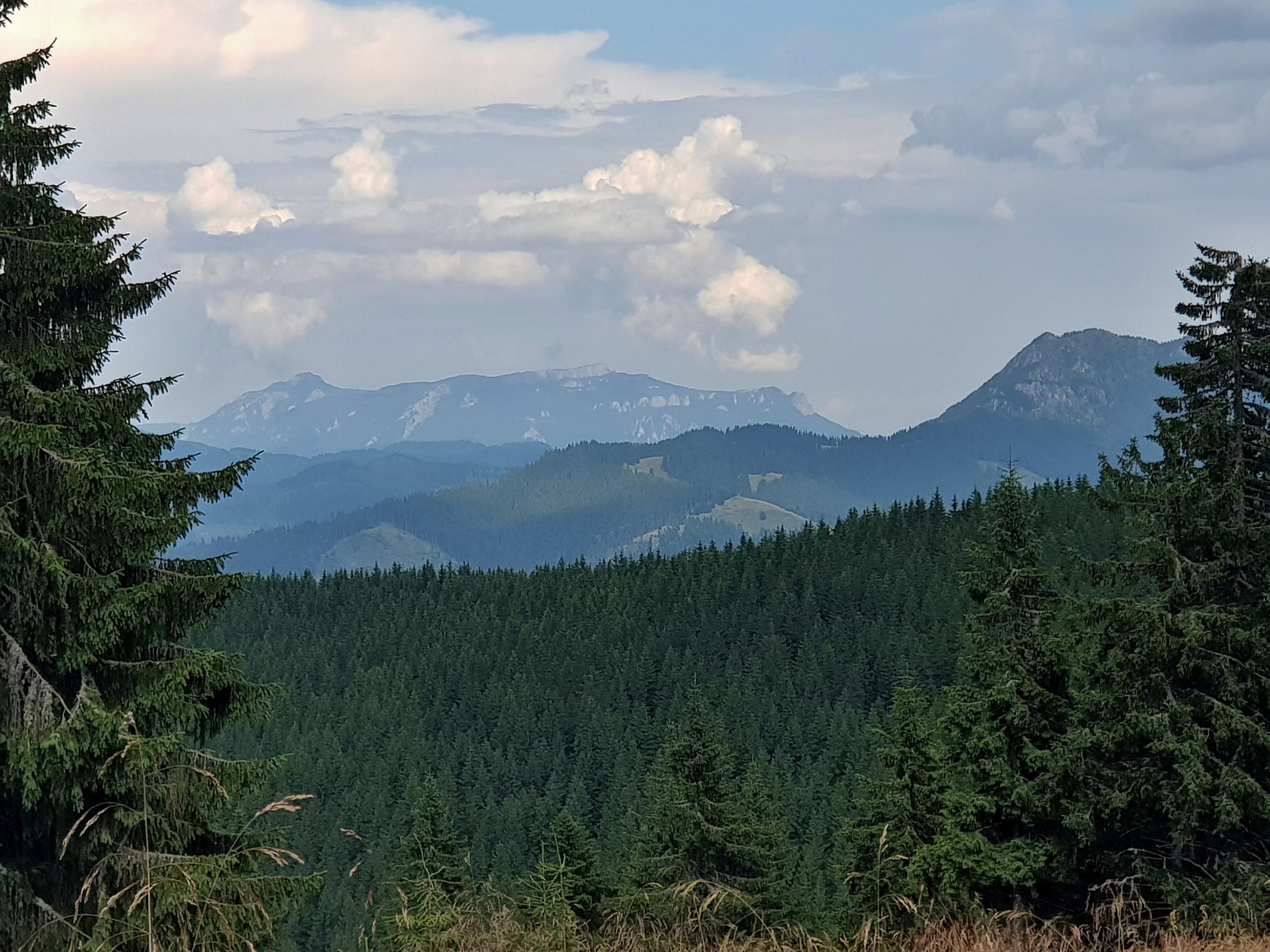 Munții Ceahlău / Pohled na hlavní hřeben Ceăhlau; vlevo Toaca (1904). www.transcarpathian.org