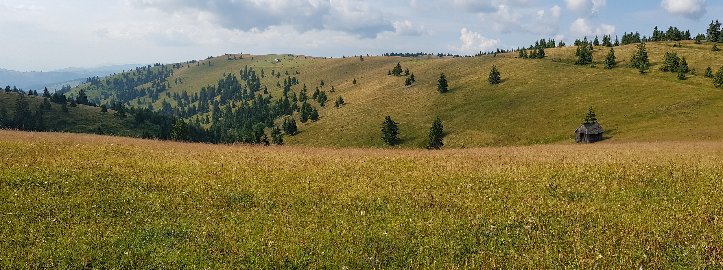 Munții Ciucului / Jižní část pohoří. www.transcarpathian.org