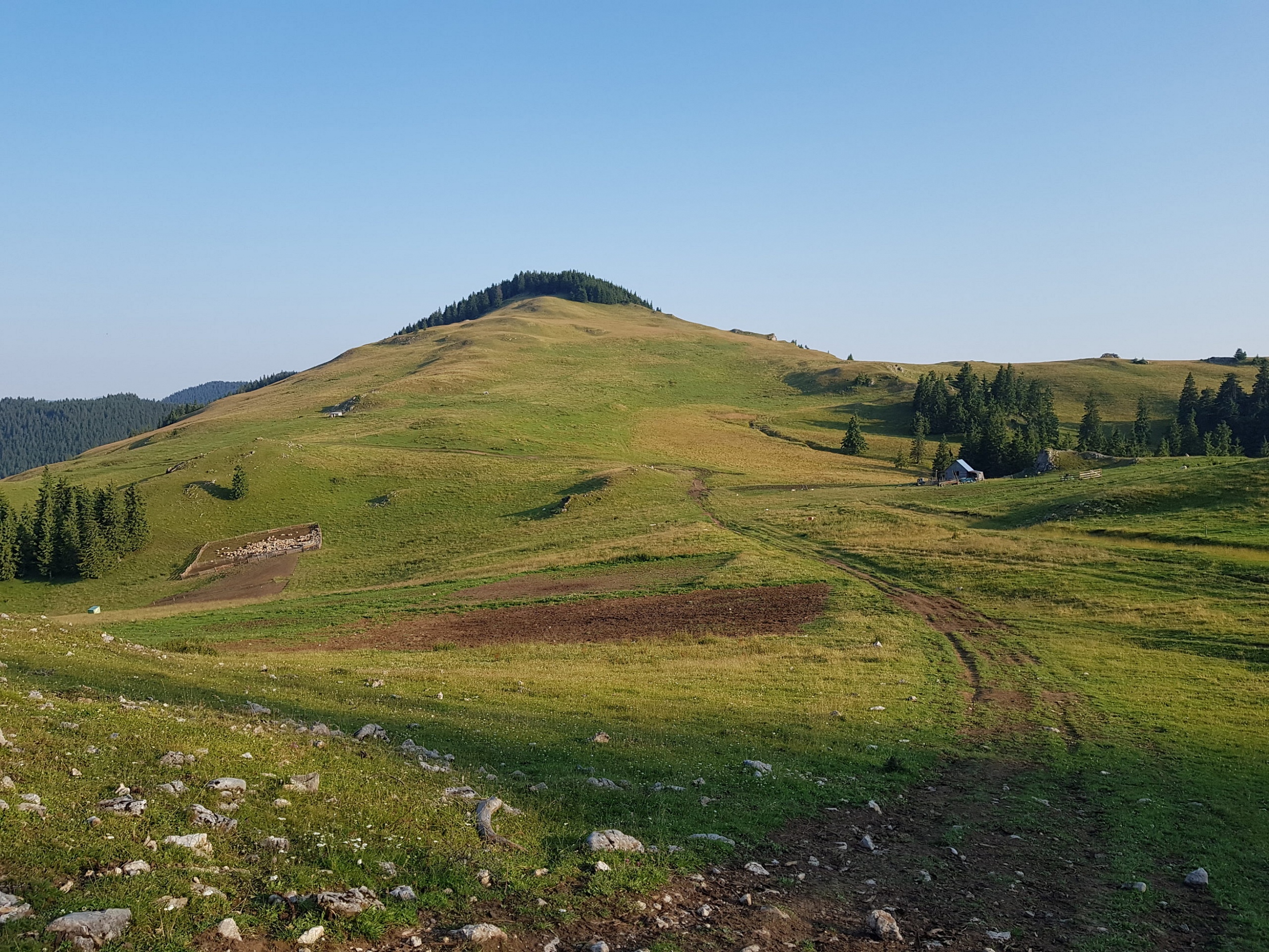 Munții Ciucului / Vf. Noşcolat (1553). www.transcarpathian.org
