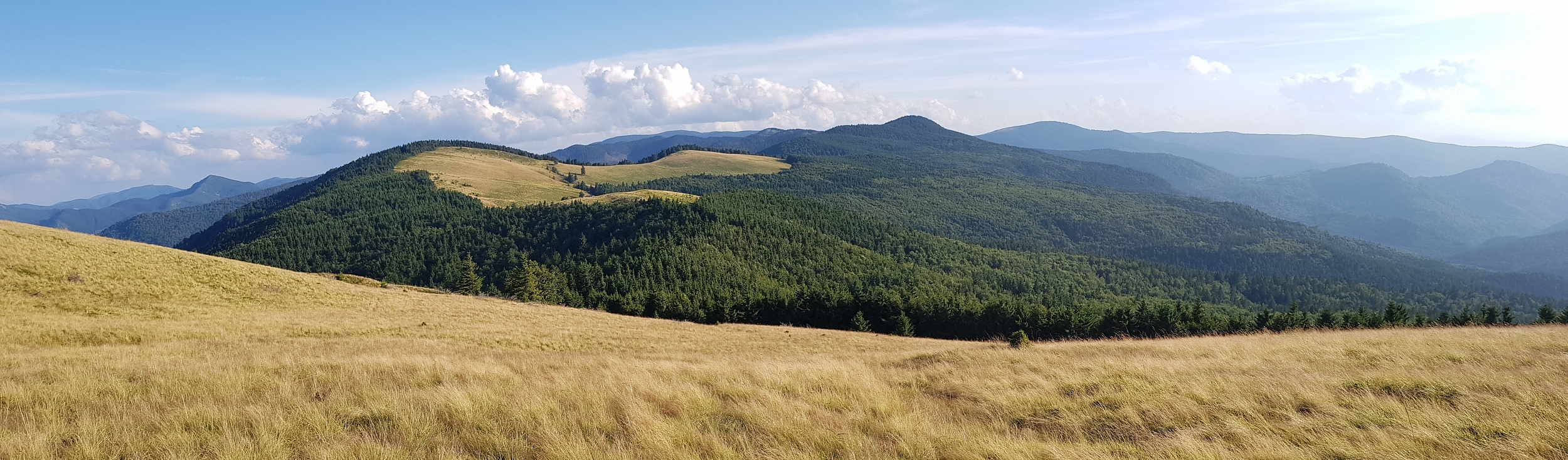 Jedna z mála otevřených luk s výhledem na Vf. Lacauti (1777) v pohoří Vrancea. www.transcarpathian.org Munții Nemira / Jedna z mála otevřených luk s výhledem na Vf. Lacauti (1777) v pohoří Vrancea. www.transcarpathian.org