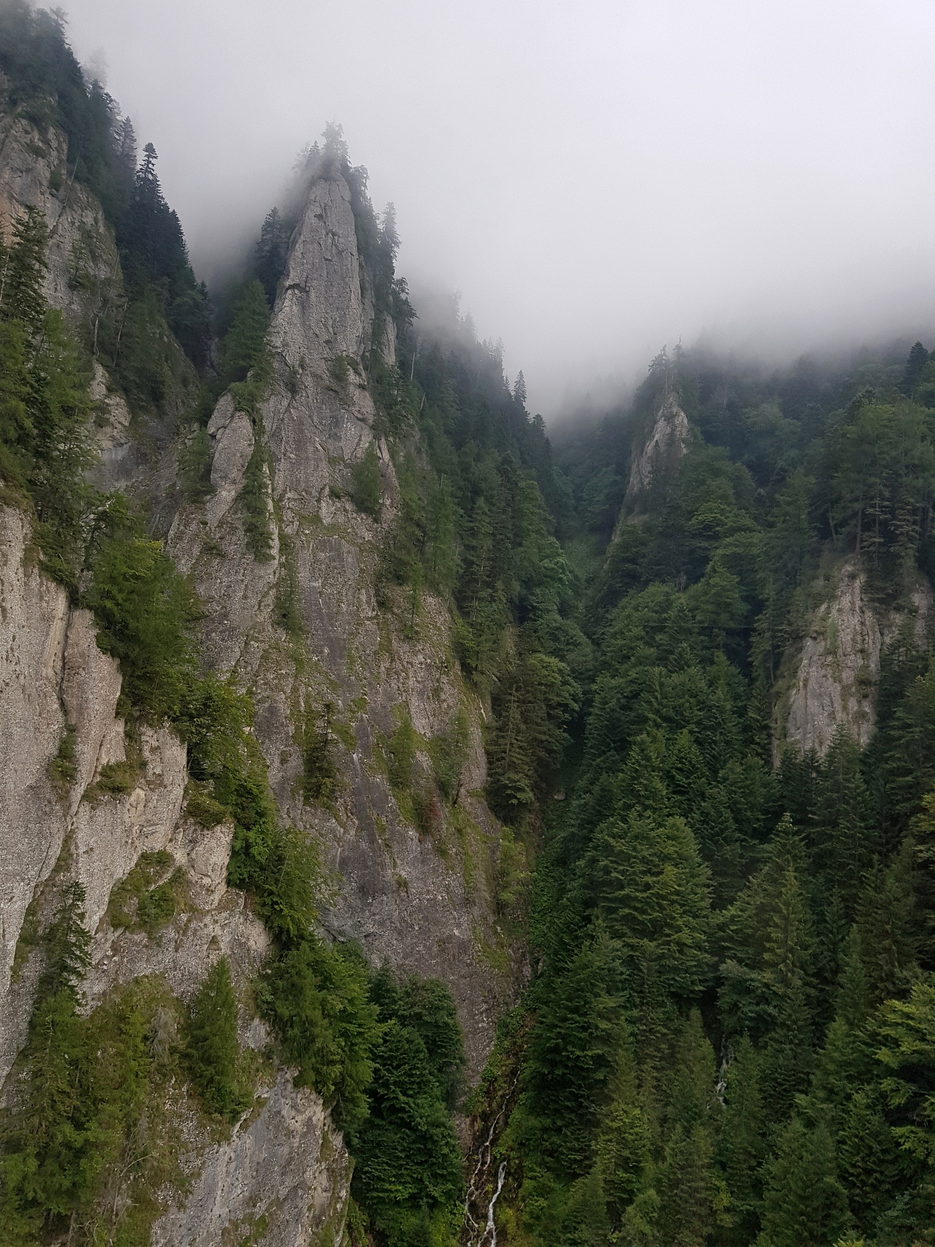 Munții Bucegi / www.transcarpathian.org