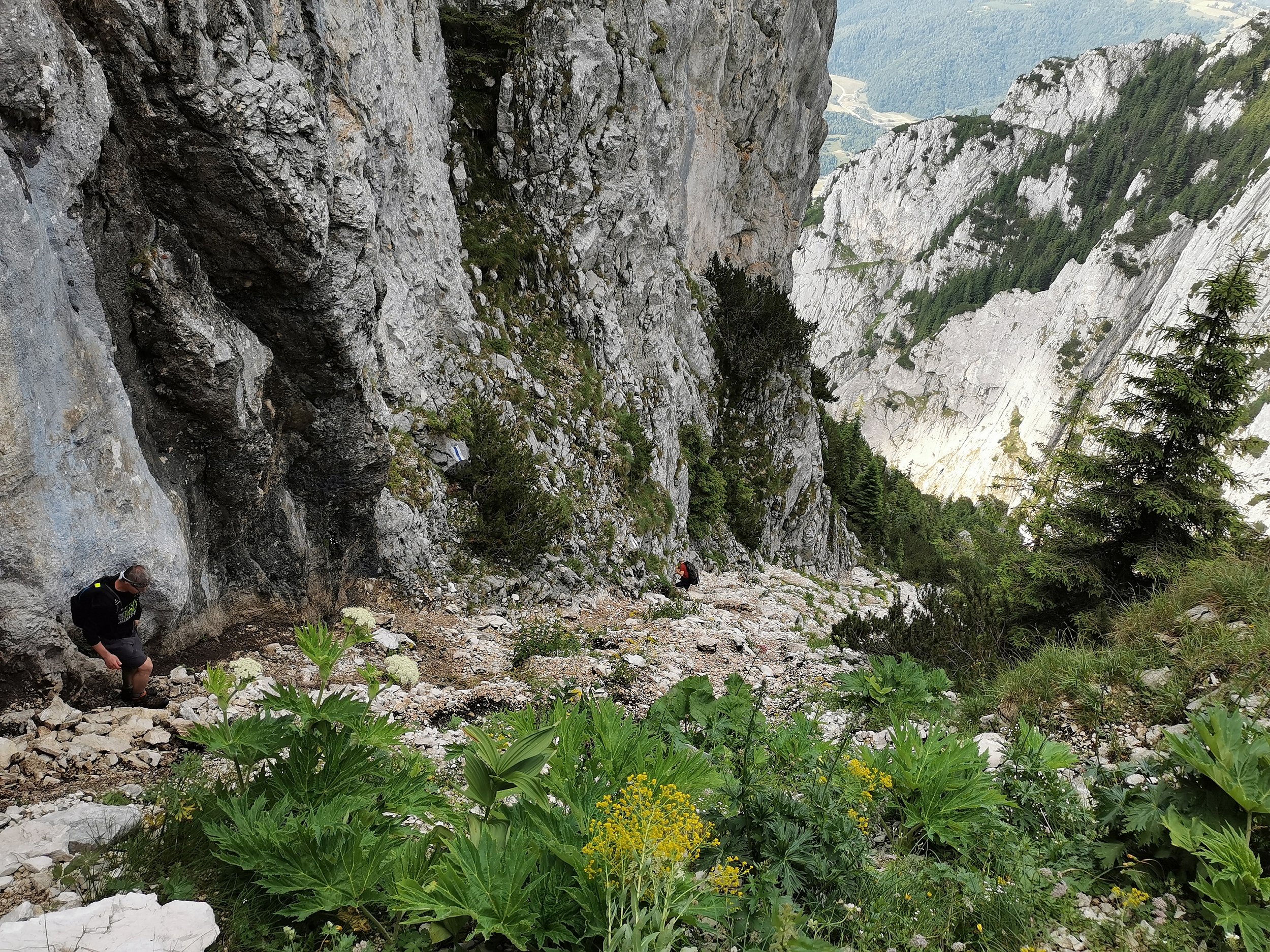Munții Piatra Craiului / Sestup k ref. Diana. Nejprve prudkým suťoviskem ....