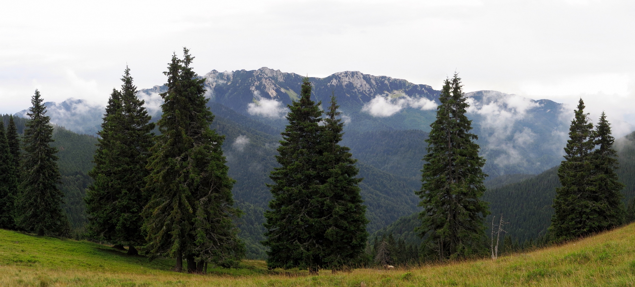 Vápencový hřeben Buila-Vânturariţa při pohledu z hlavního hřebene Căpățânii. Munții Capatini / Vápencový hřeben Buila-Vânturariţa při pohledu z hlavního hřebene Căpățânii.