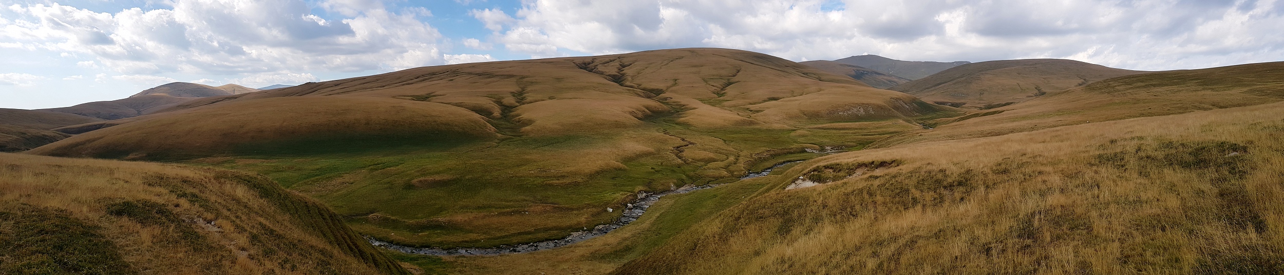 Munții Godeanu / Travnatá krajina kolem říčky Șes. www.transcarpathian.org
