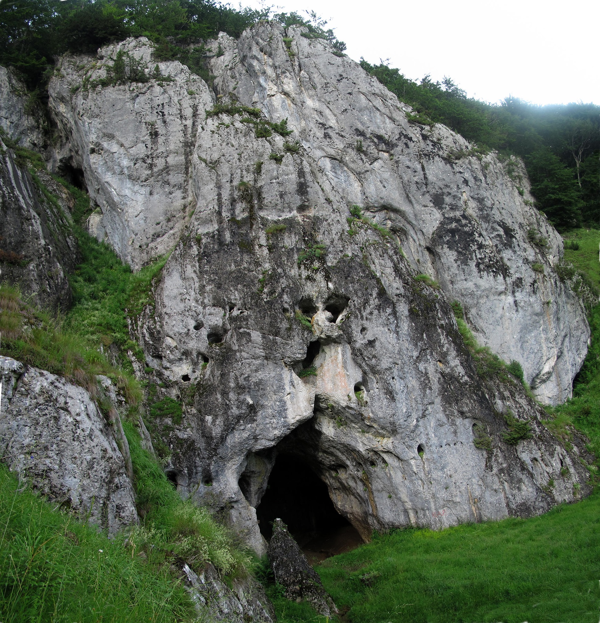 Lunca Acra. Všechny vody, co na luce pramení, se ztrácejí v této jeskyni. Dno údolí je zataraseno vápencovým blokem. Munții Pădurea Craiului / Lunca Acra. Všechny vody, co na luce pramení, se ztrácejí v této jeskyni. Dno údolí je zataraseno vápencovým blokem.