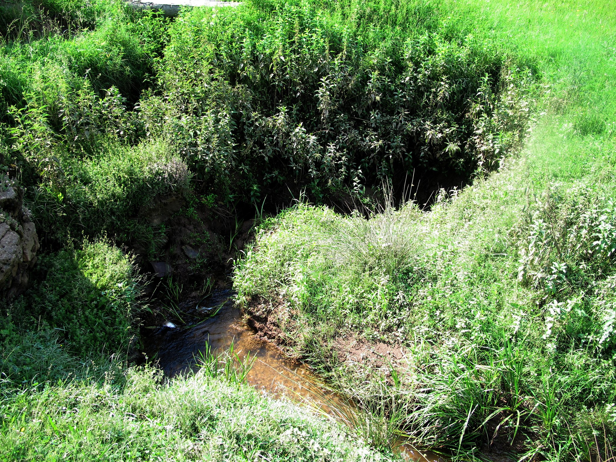 Jiná verze ponoru, tentokrát ne tak romantická - prostě to tu mizí v zemi jak v kanále. Ponor pod vrchem Glimeiul Mic u obce Demiš. Munții Pădurea Craiului / Jiná verze ponoru, tentokrát ne tak romantická - prostě to tu mizí v zemi jak v kanále. Ponor pod vrchem Glimeiul Mic u obce Demiš.