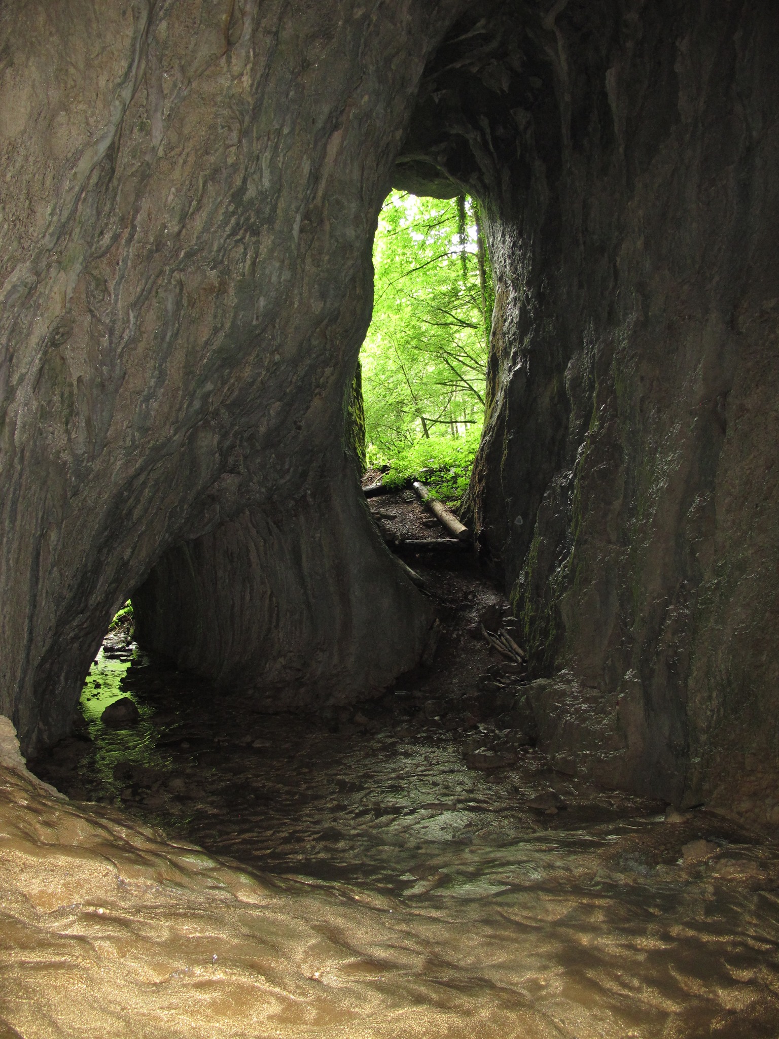 Peștera Moanei. Tady vyvěrá to, co se nahoře ztrácí v kopřivách a blátě. Voda je ledová. Jeskyně má profil gotické katedrály a délku železničního tunelu na jednu trampskou píseň. Munții Pădurea Craiului / Peștera Moanei. Tady vyvěrá to, co se nahoře ztrácí v kopřivách a blátě. Voda je ledová. Jeskyně má profil gotické katedrály a délku železničního tunelu na jednu trampskou píseň.