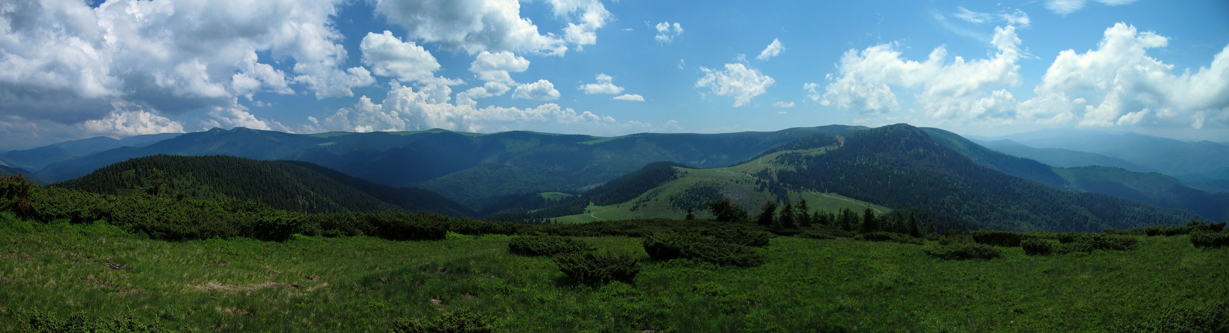 Munții Vlădeasa / Panorama z Vf. Poienii (Luční hora) 1625 m.n.m. Někde zcela v pravo je Padišská planina, Vpravo od středu hory u pramenů Draganu, vlevo (není to patrné) nejvyšší partie pohoří Vladeasa.
