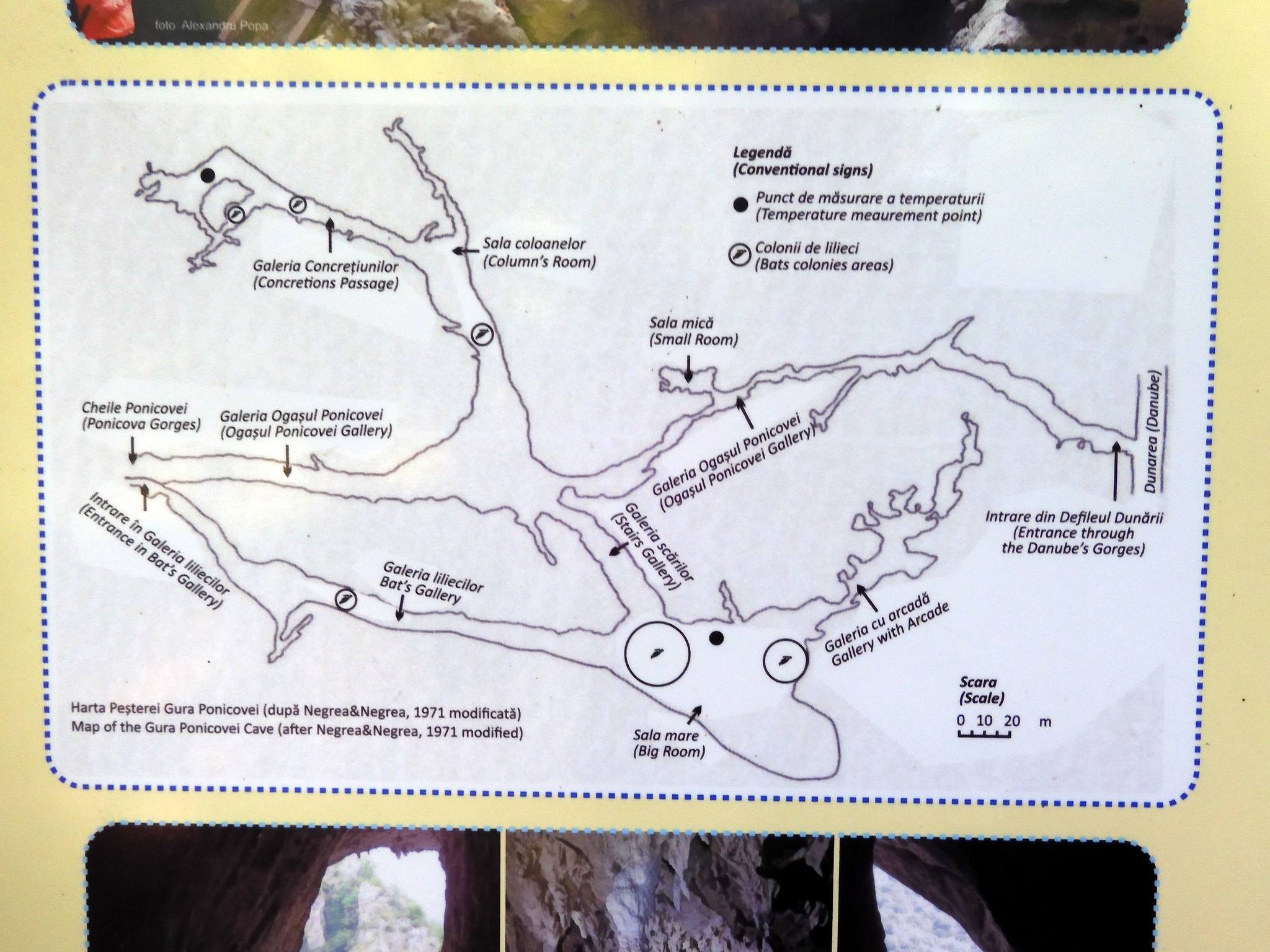 Jeskyně Ponicova je zajímavý jeskynní komplex. Je průchozí ze severu na jih a asi po půl kilometru ústí přímo do Dunaje. Dá se zde docela dobře vykoupat. Munții Almăjului / Jeskyně Ponicova je zajímavý jeskynní komplex. Je průchozí ze severu na jih a asi po půl kilometru ústí přímo do Dunaje. Dá se zde docela dobře vykoupat.