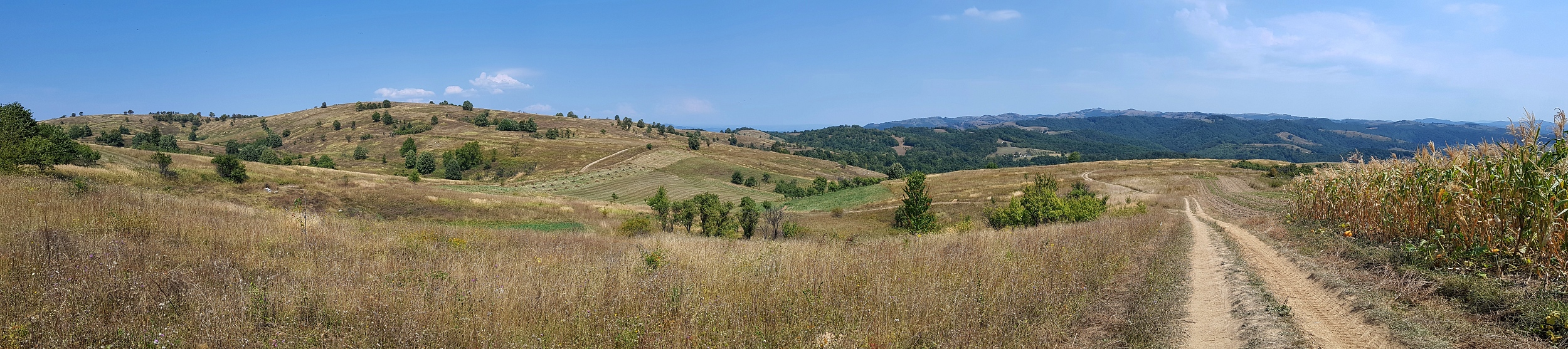 Munții Locvei / Krajina východně od Gerniku. www.transcarpathian.org
